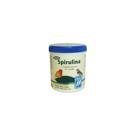 Spirulina 300g