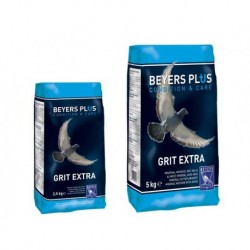 Beyers Grit EXTRA dla gołębi 5kg