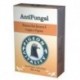 ANTIFUNGAL 50g