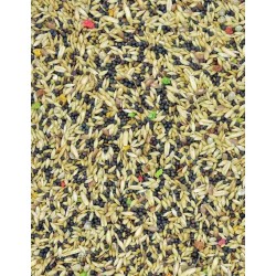 MDM Kanarek Standard 10kg