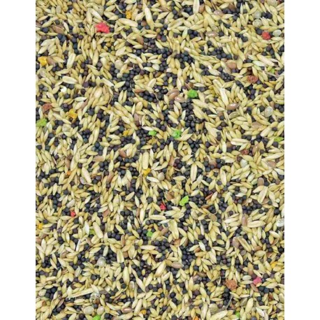 MDM Kanarek Standard 10kg