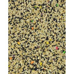 MDM Kanarek Exclusive 10kg