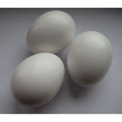 Jajo sztuczne kaczka (cena za opakowanie 10szt.)